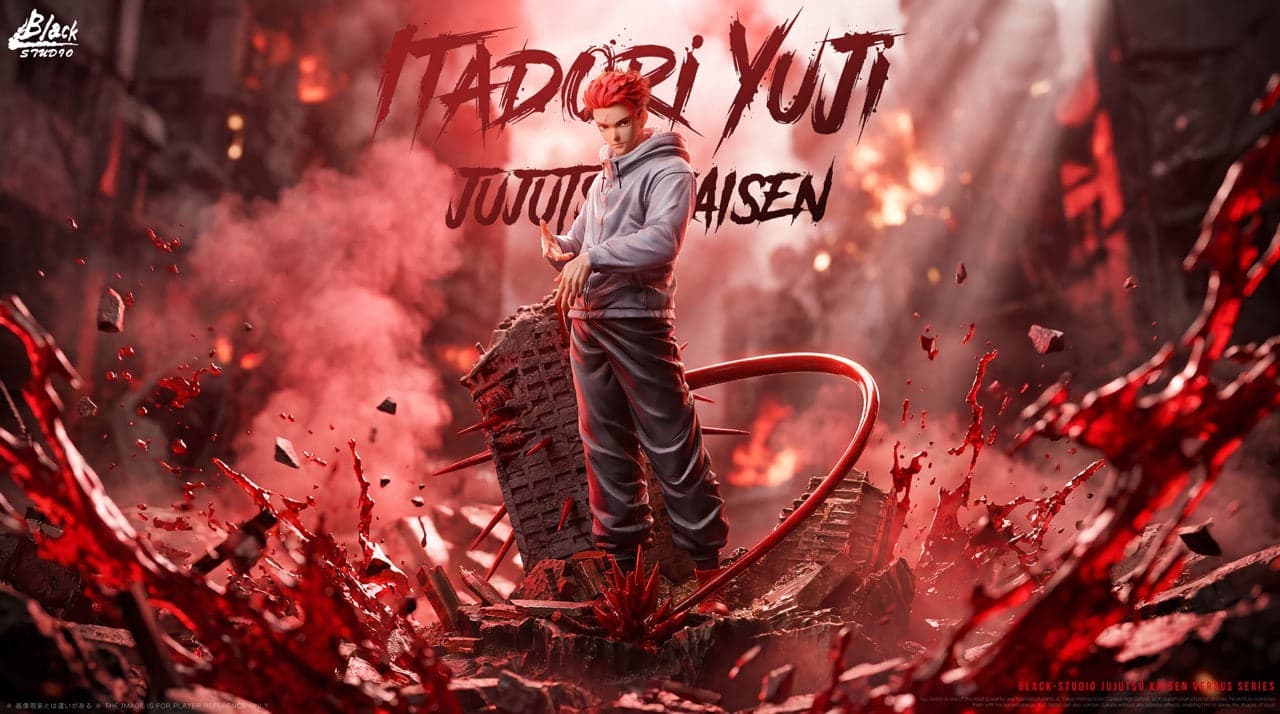 Jujutsu Kaisen BLACK Studio Yuji Itadori 1