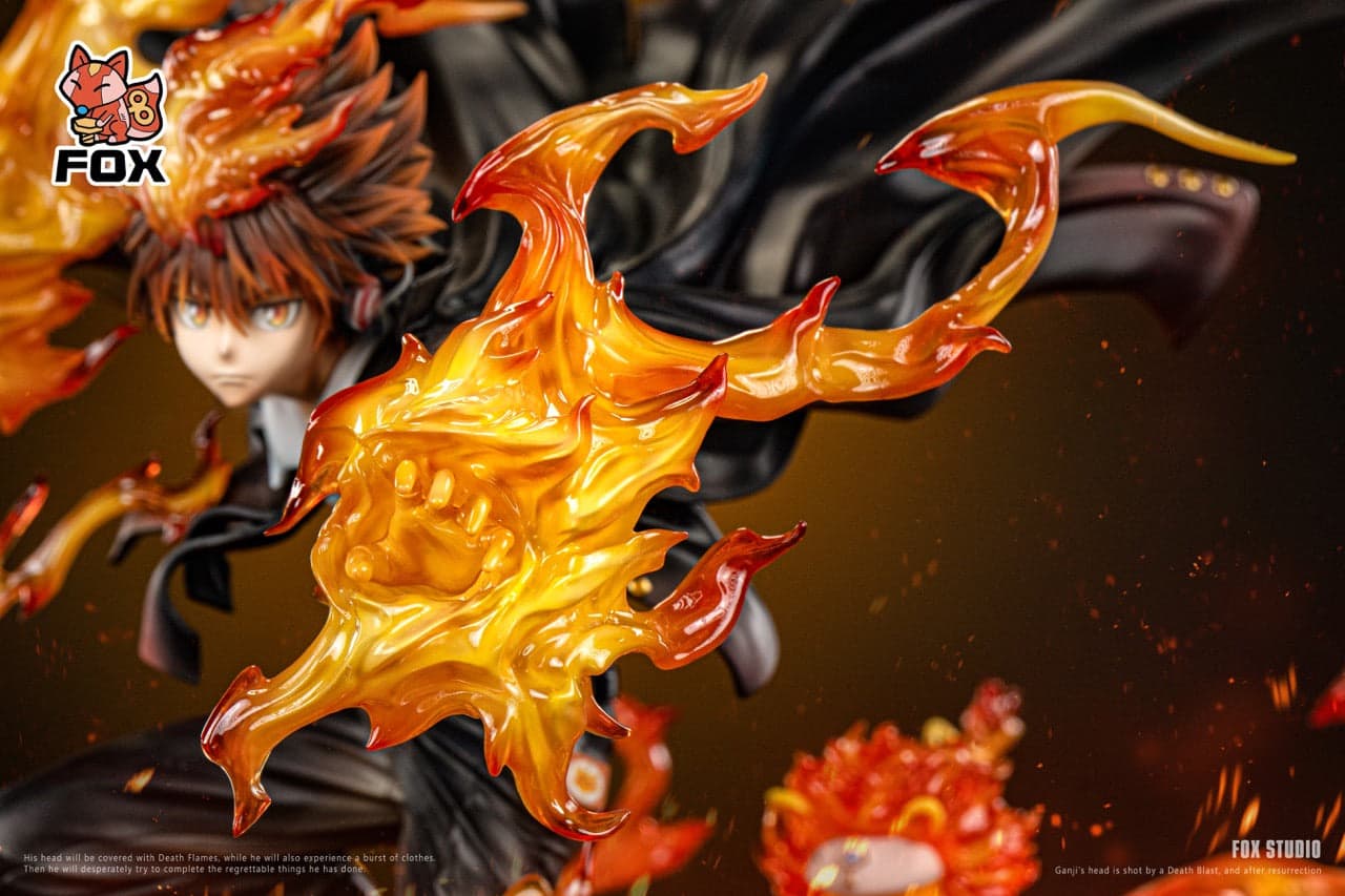Katekyo Hitman Reborn FOX Studio Sawada Tsunayoshi 4
