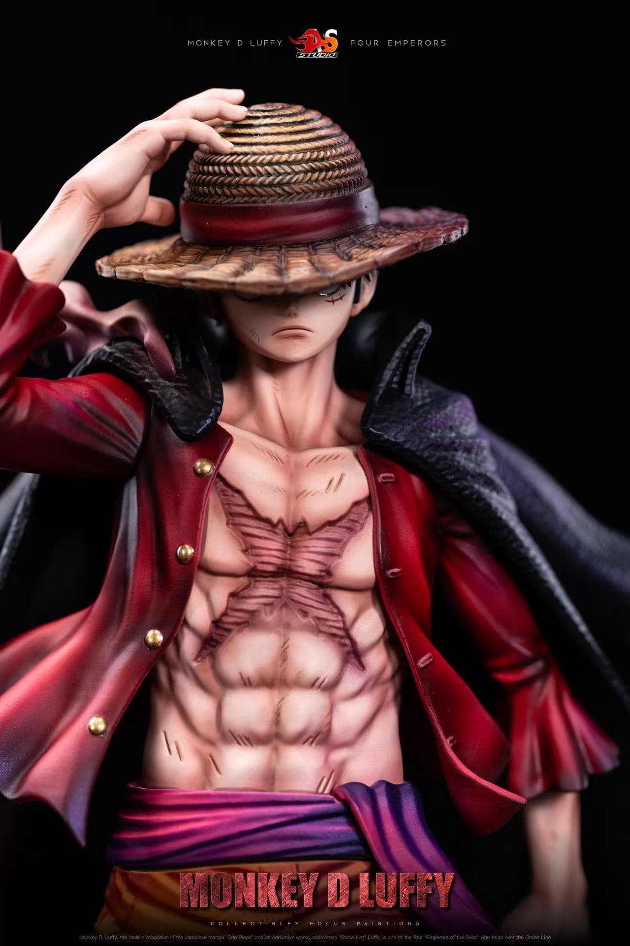 One Piece AS Studio Luffy 3