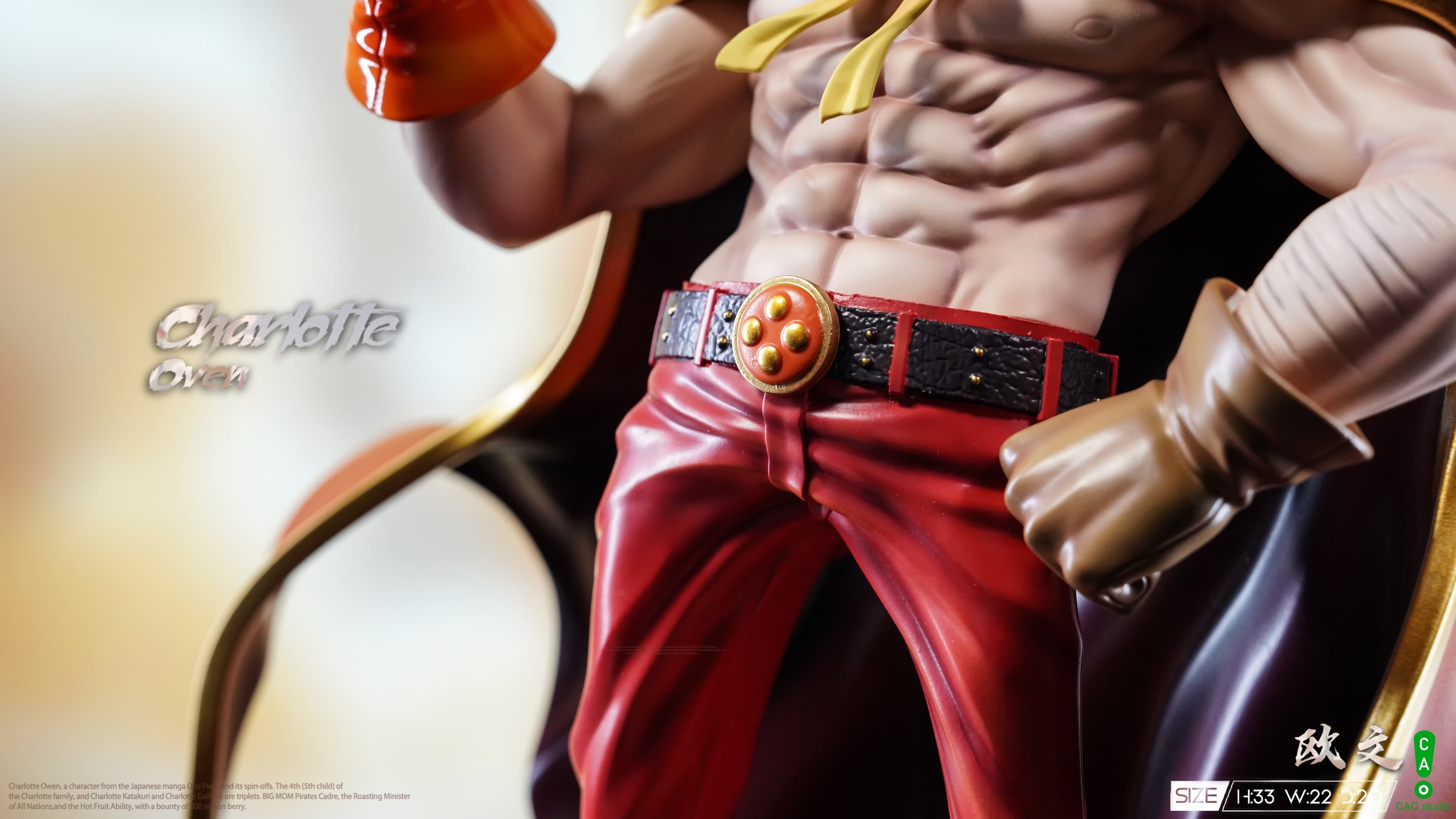 One Piece CAO Studio Oven 4