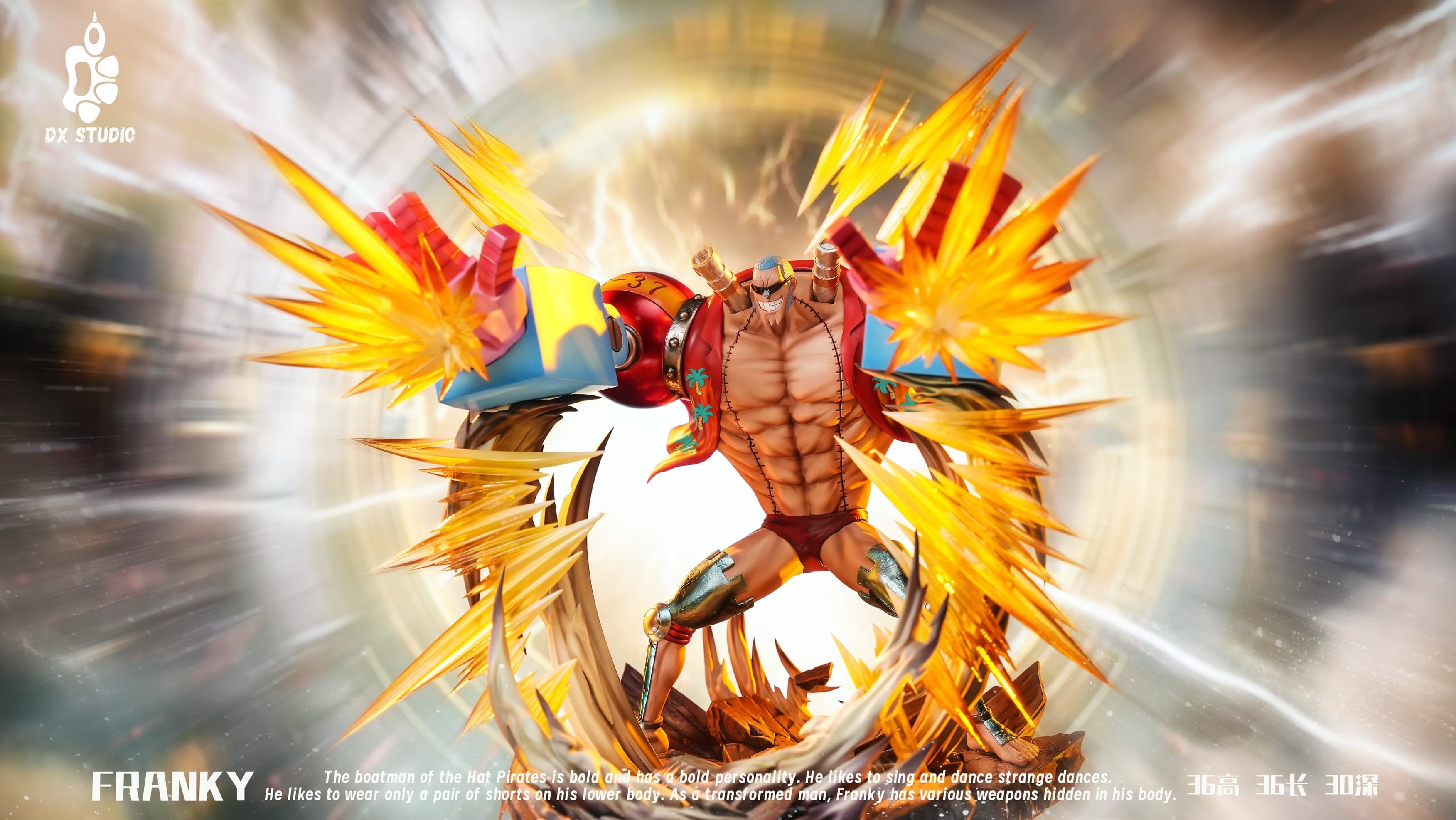 One Piece DX Studio Franky 2
