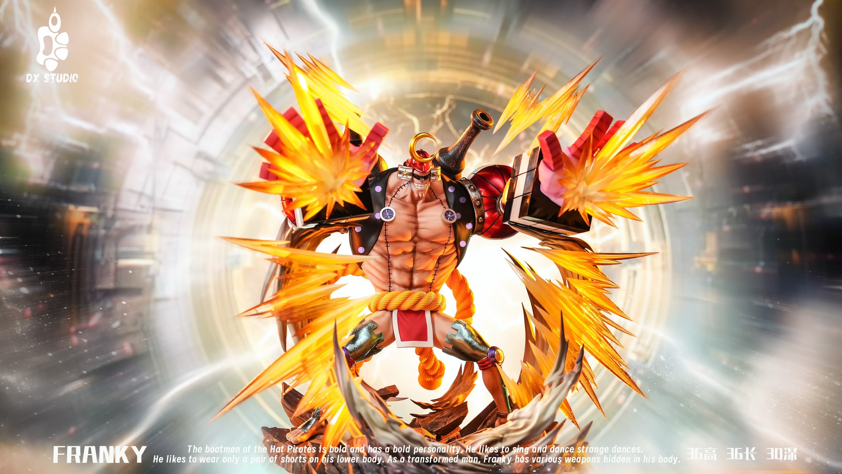 One Piece DX Studio Franky 3