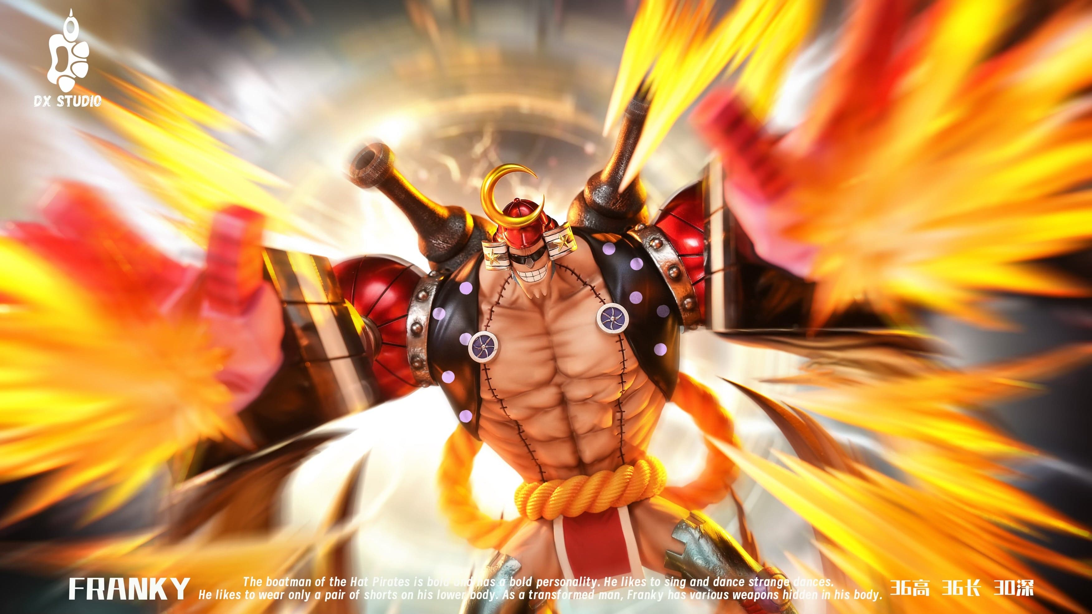 One Piece DX Studio Franky 4