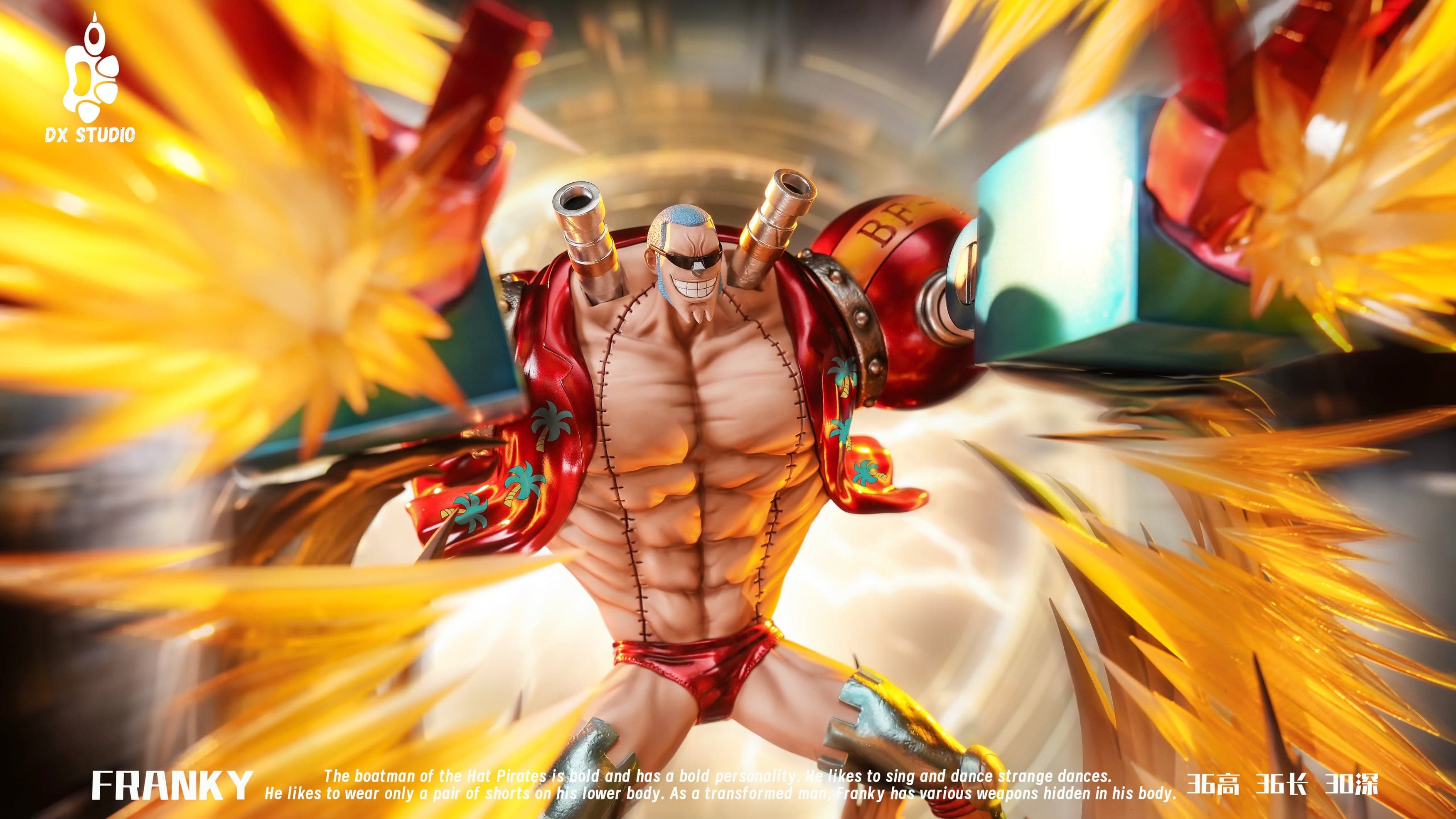 One Piece DX Studio Franky 5