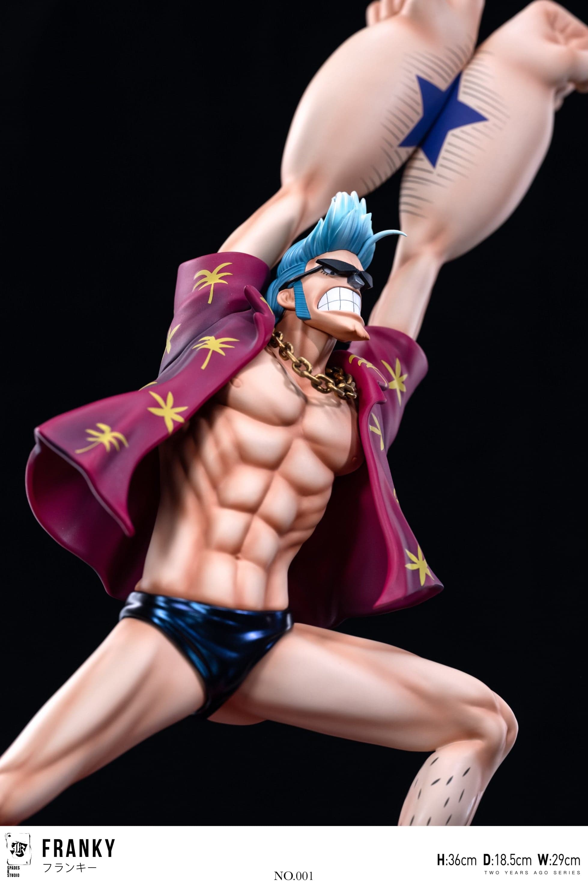 One Piece SPADES K Studio Franky V2 5