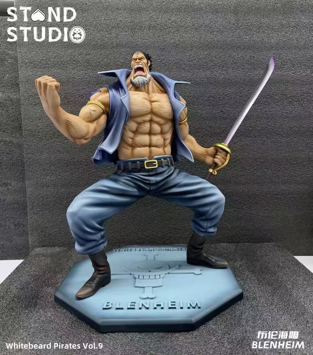 One Piece Stand Studio Blenheim 2