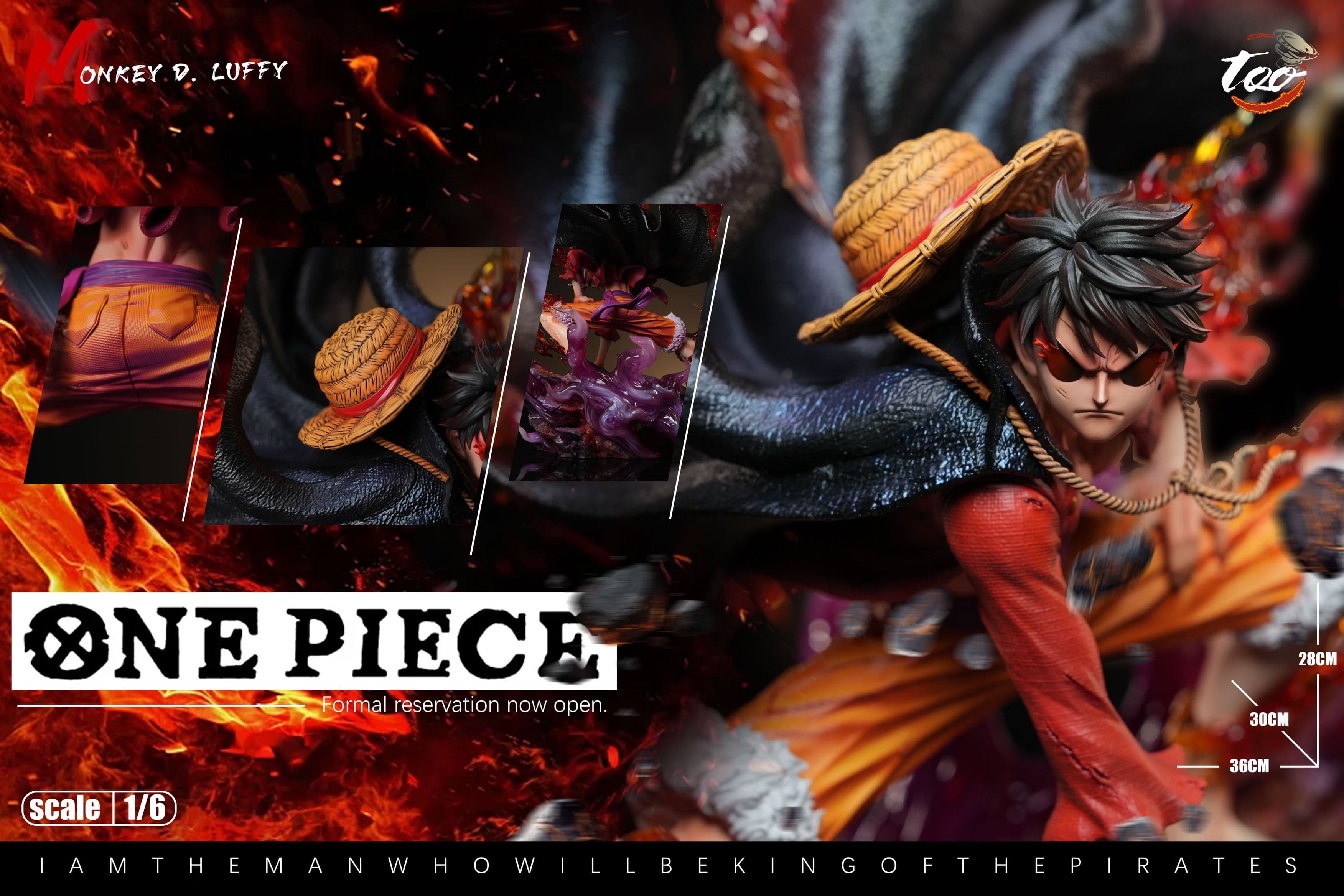 One Piece Too Studio Luffy 3