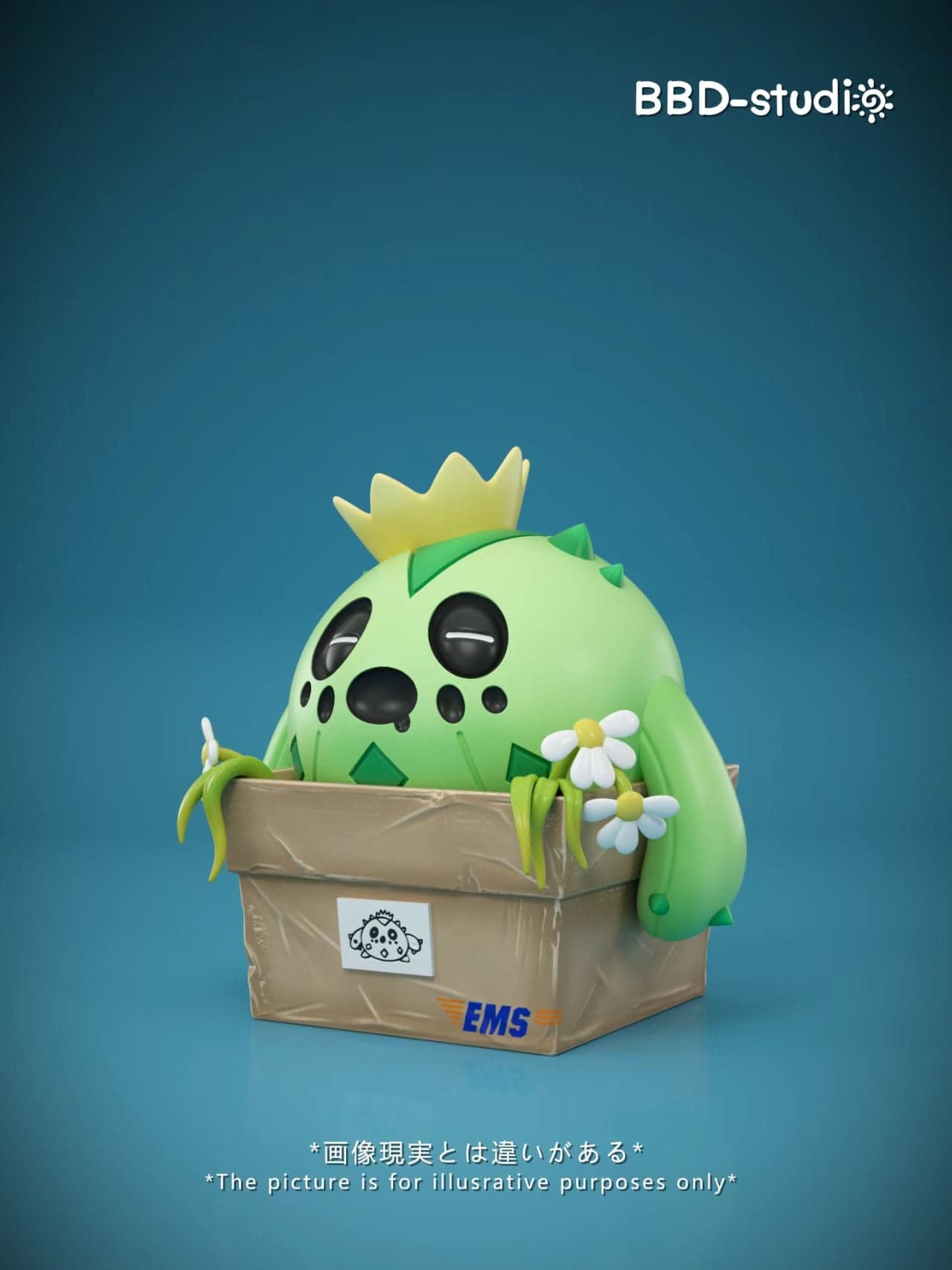 Pokemon BBD Studio Cacnea 2