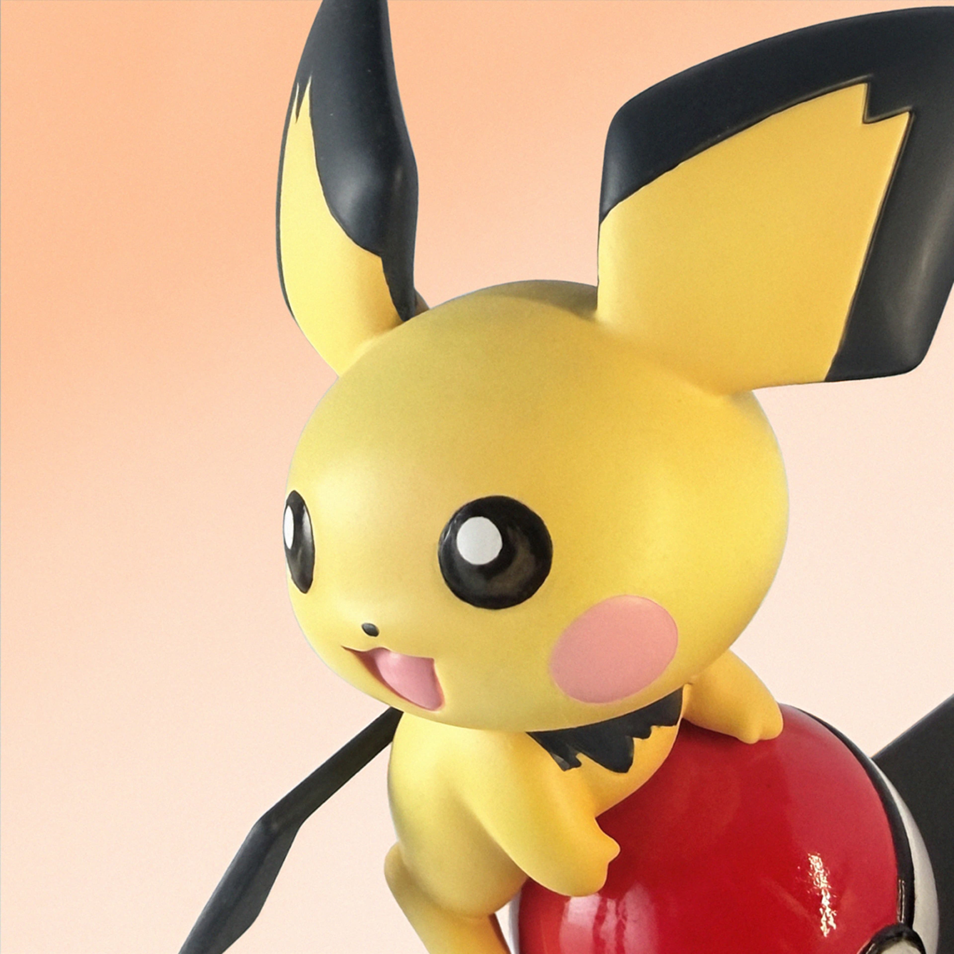 Pokemon Miumiu Studio Pichu 4