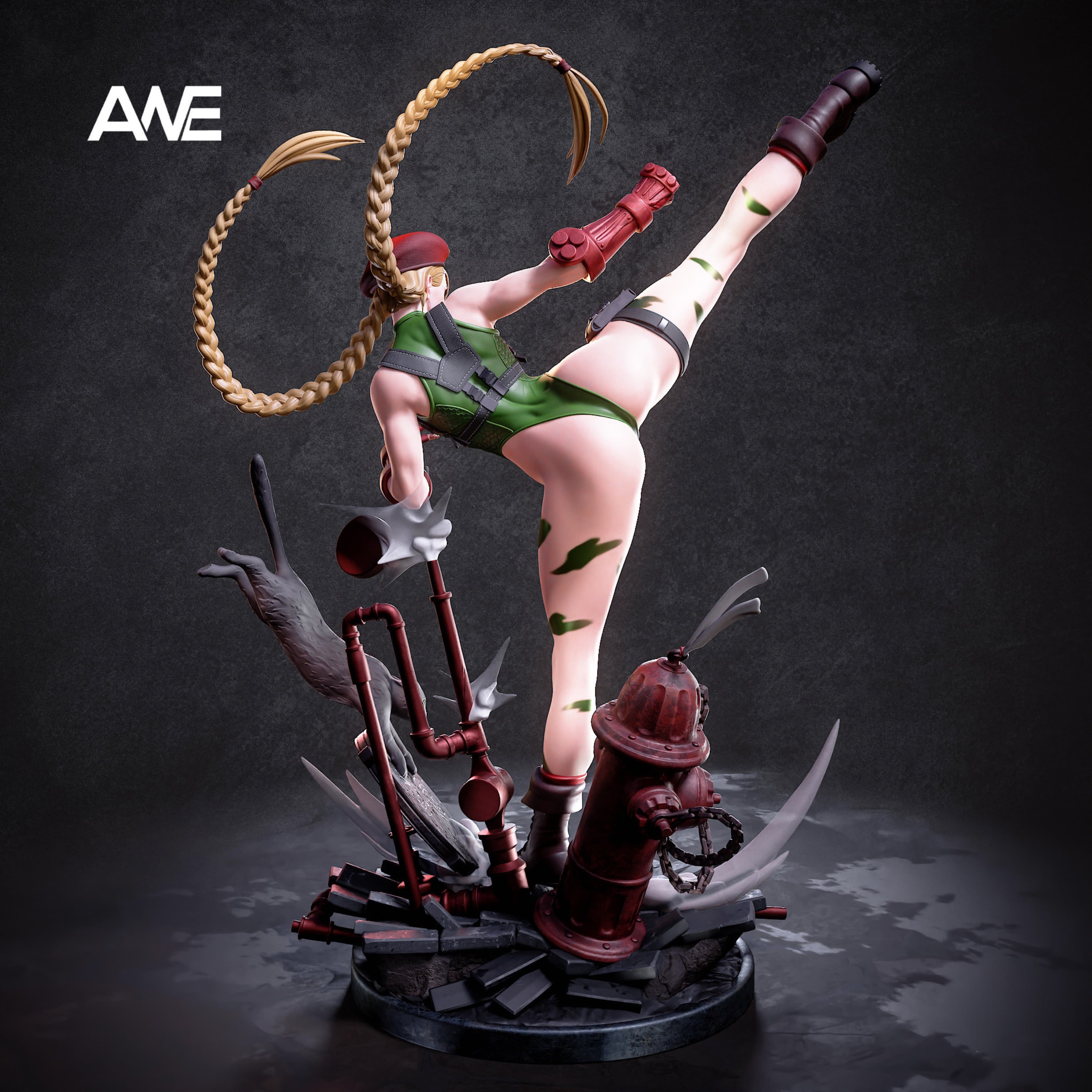 Street Fighter ANE Studio Cammy 3