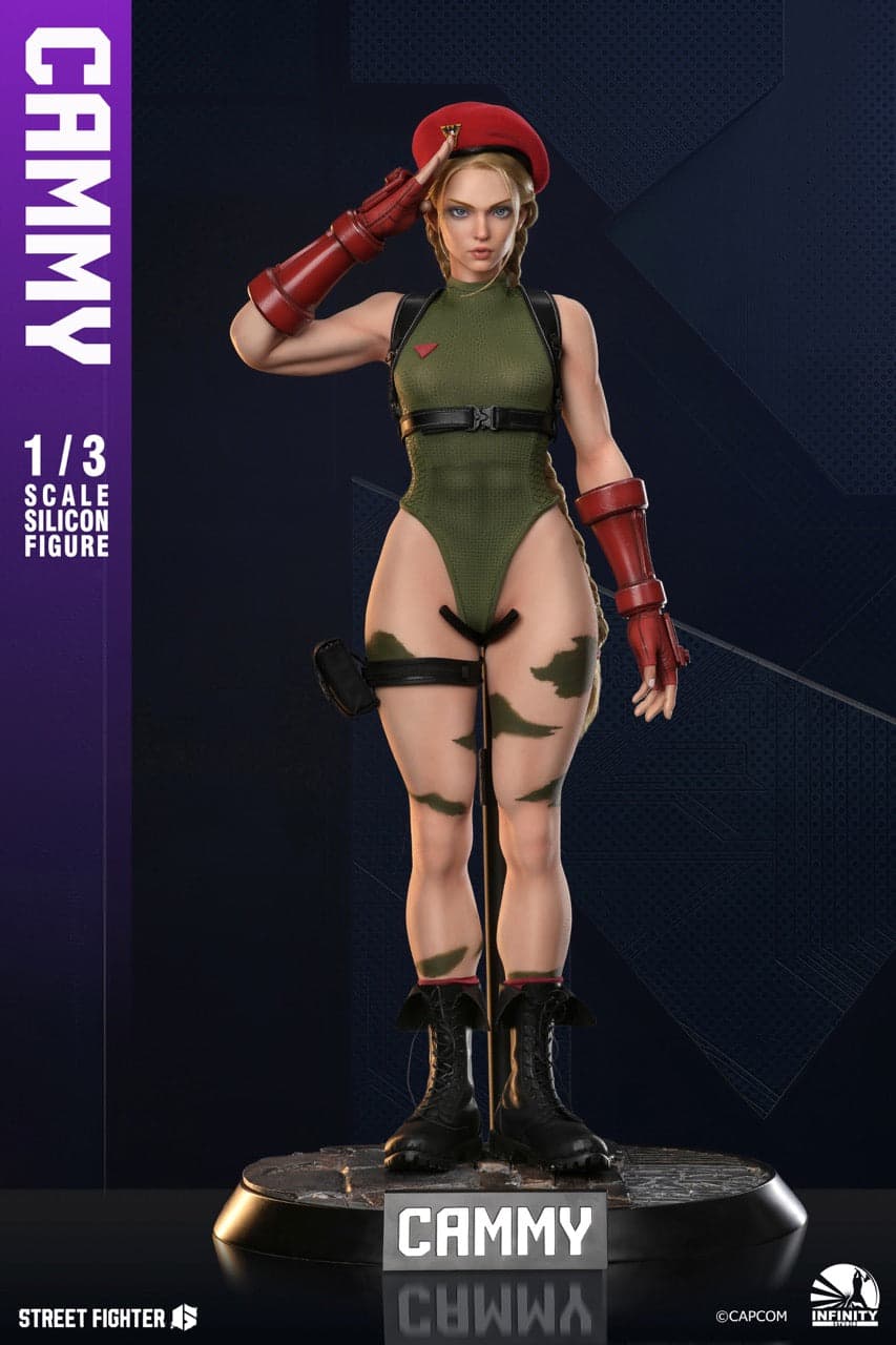 Street Fighter Infinity Studio Cammy 4