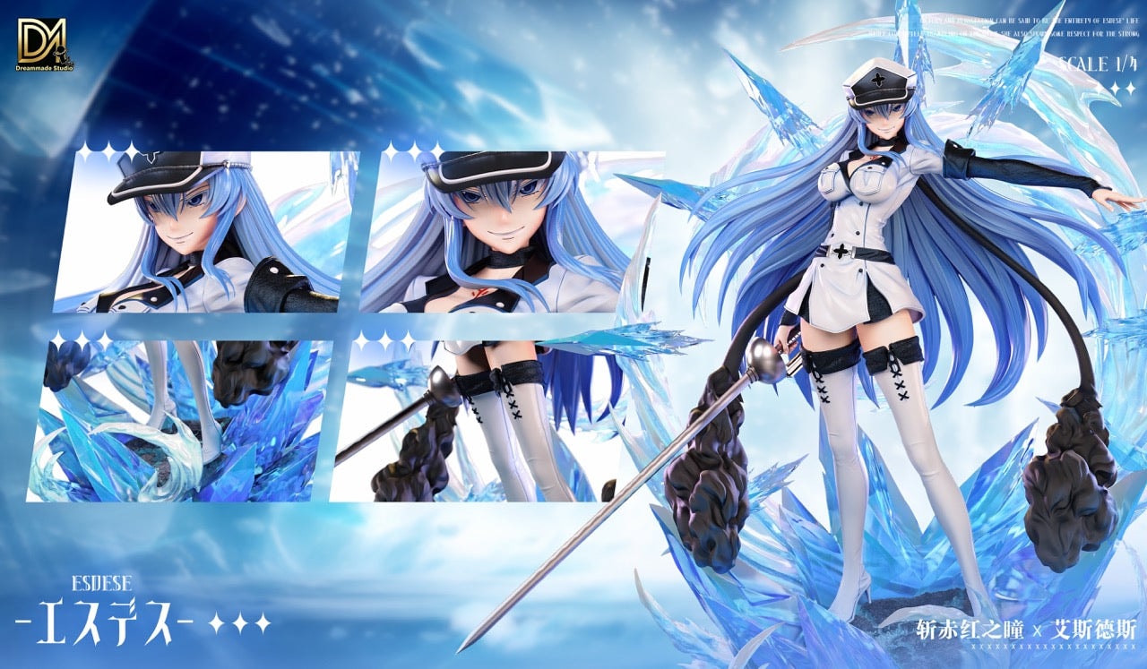 Akame Ga Kill Dreammade Studio Esdese