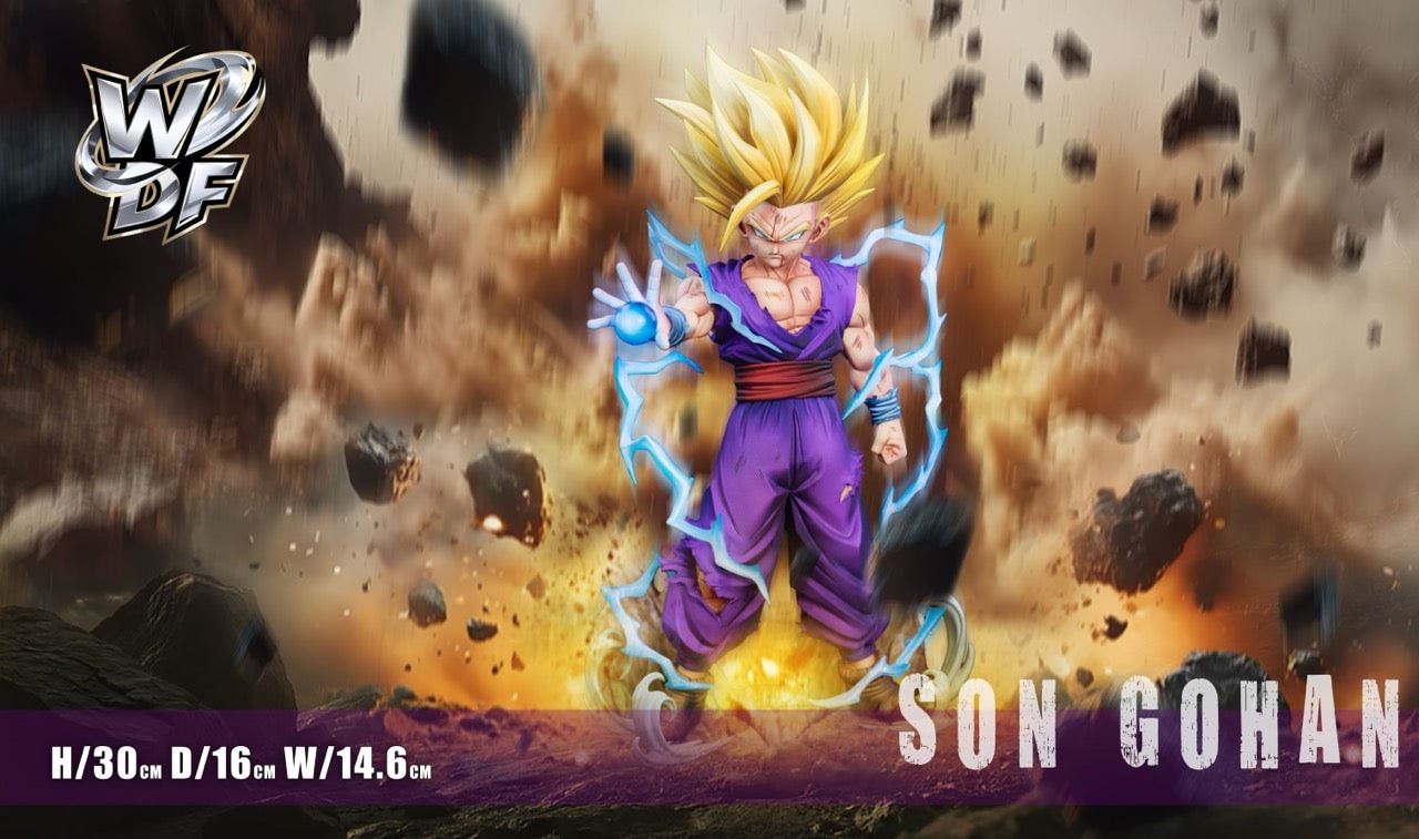 Dragon Ball WDF Studio Son Gohan SSJ2