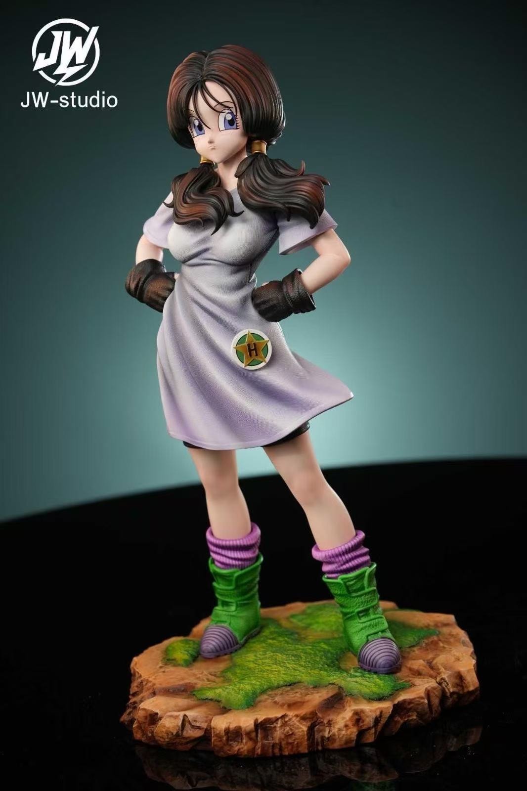 Dragon Ball JW Studio Videl School