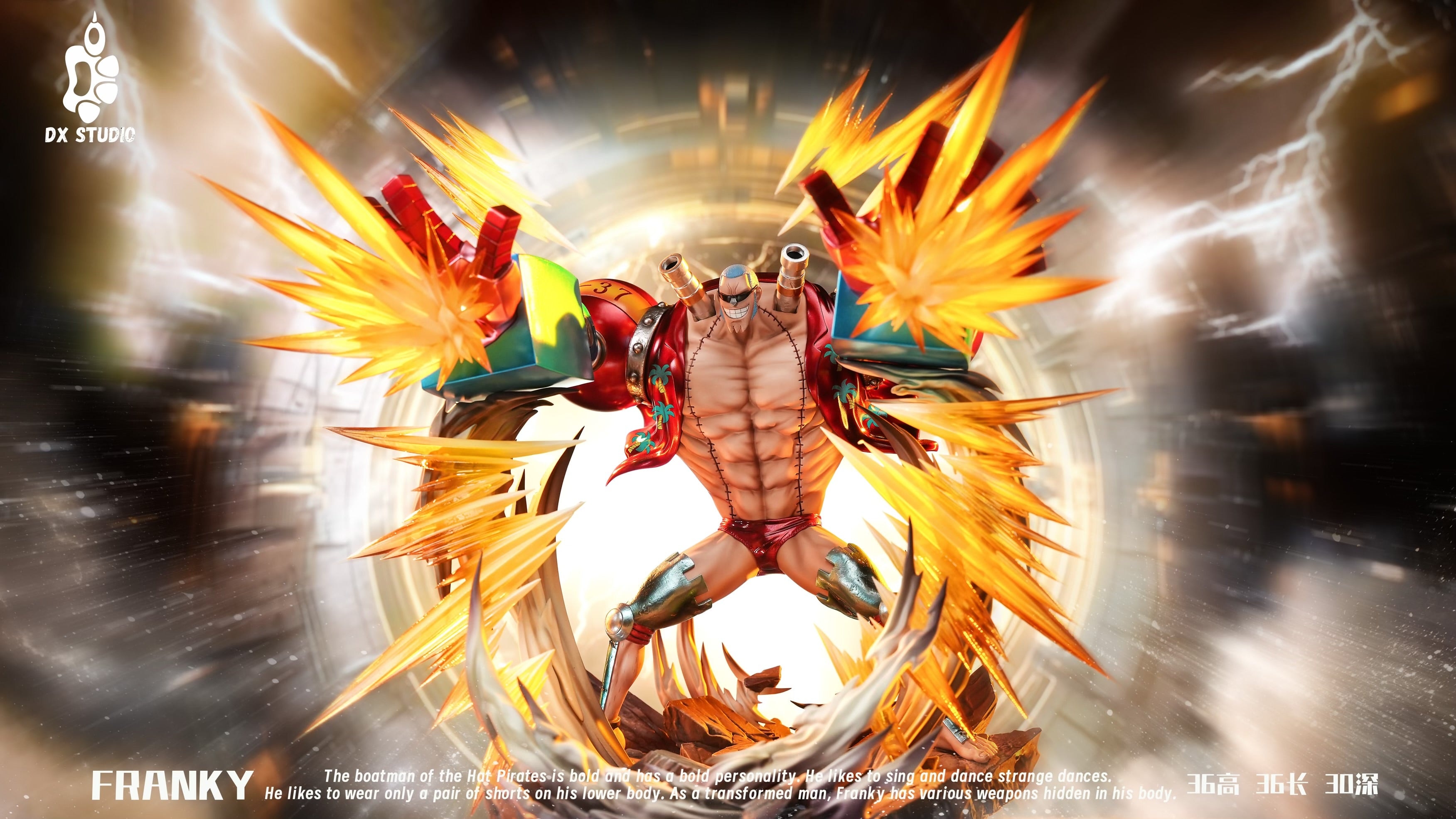 One Piece DX Studio Franky