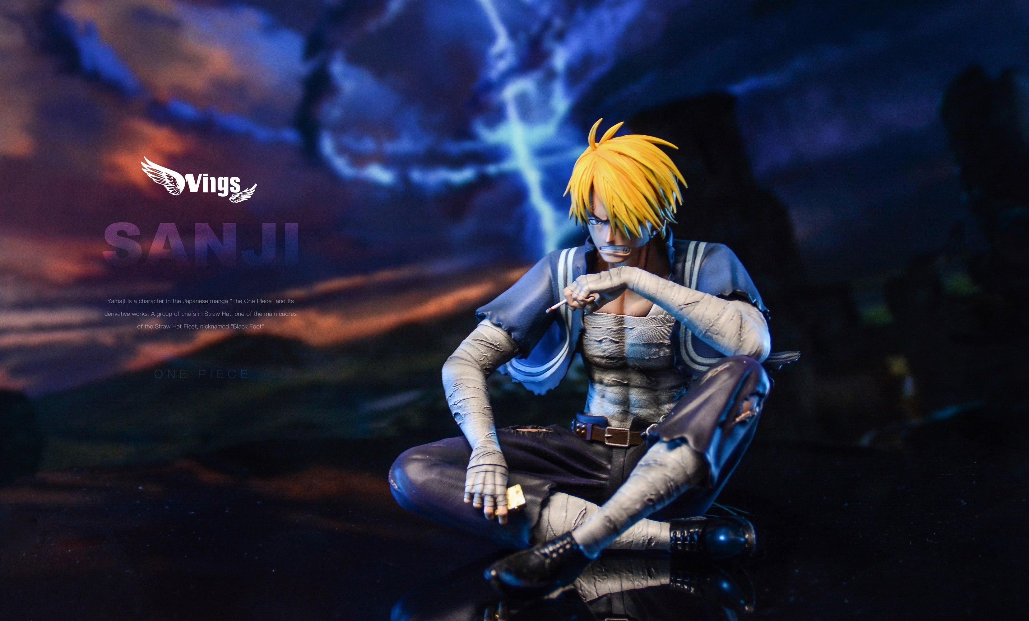One Piece Wings Studio Sanji