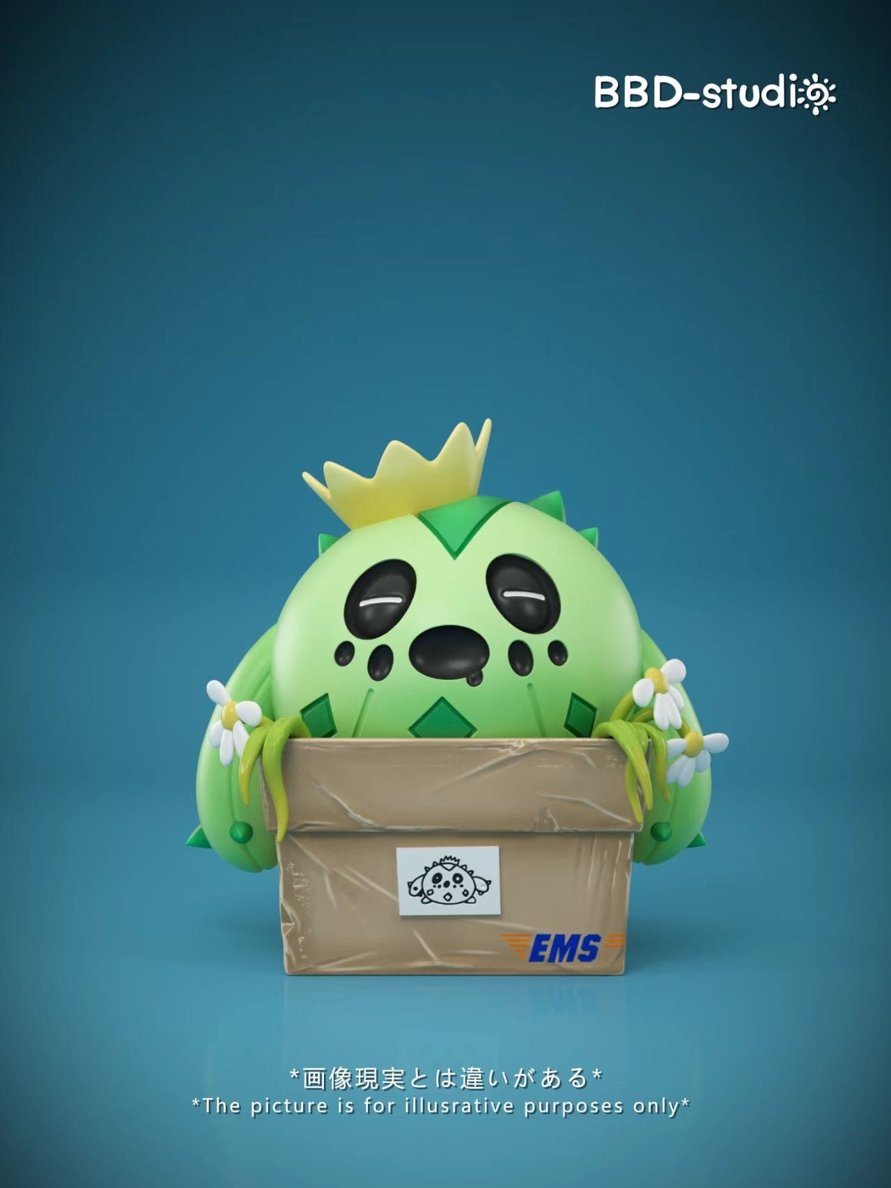 Pokemon BBD Studio Cacnea