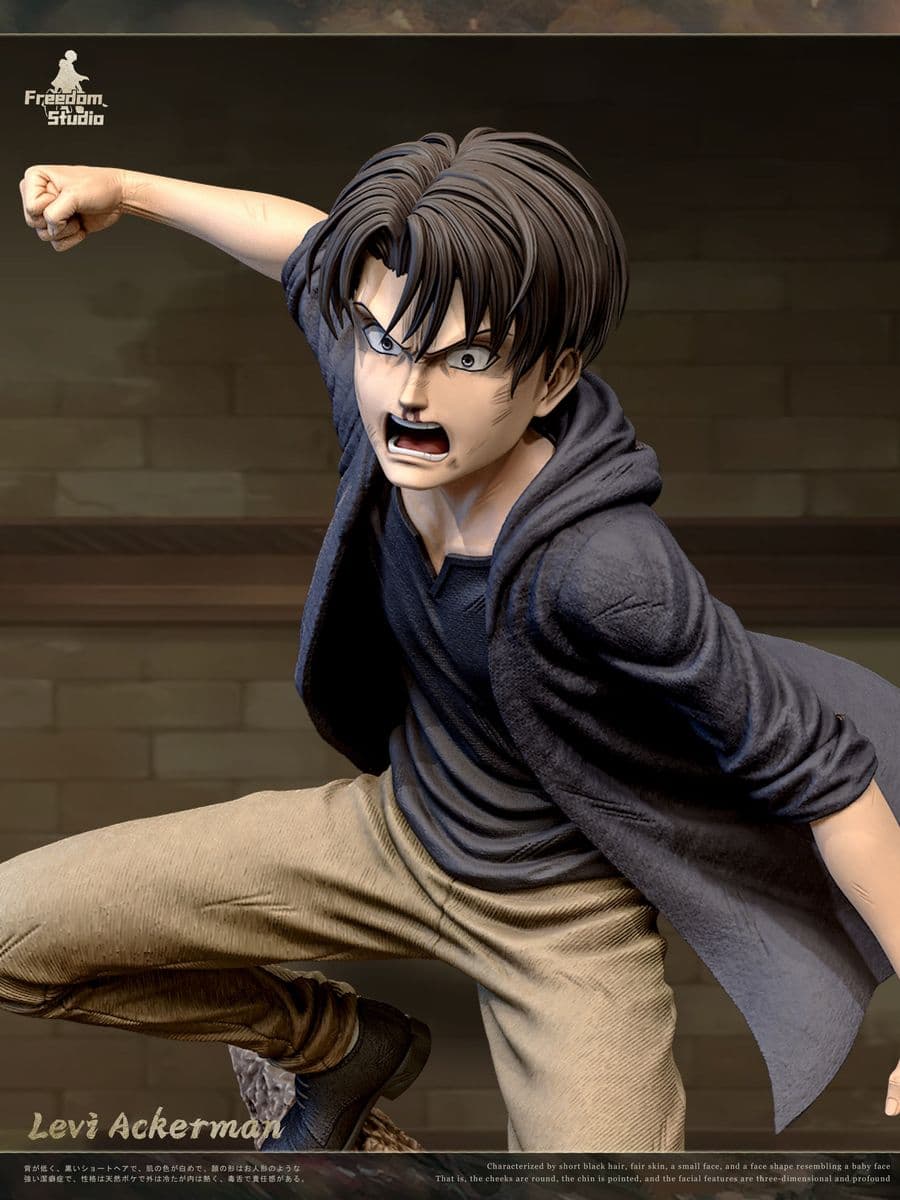 Attack on Titan Freedom Studio Childhood Levi
