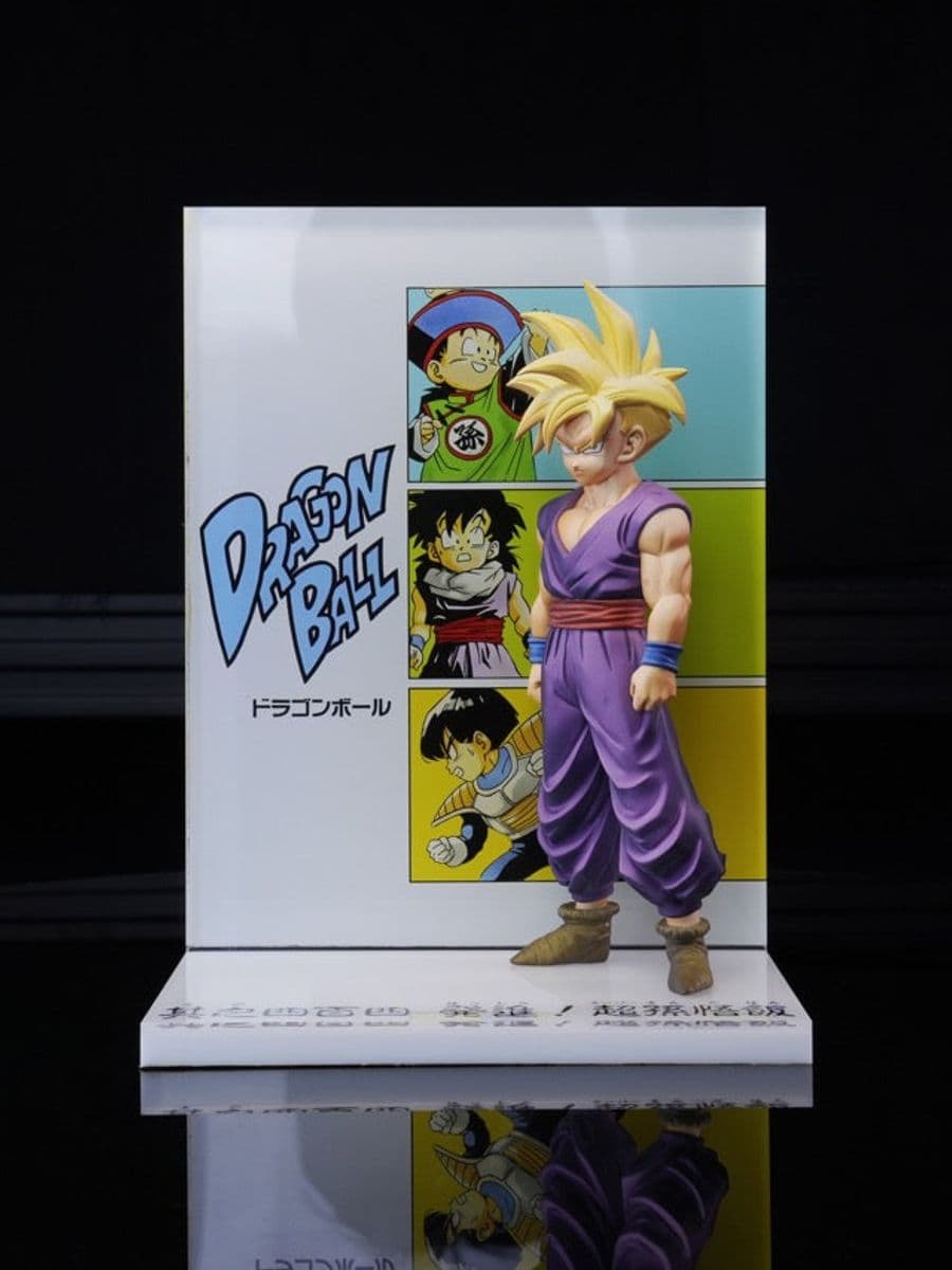 Dragon Ball Winter Dong Zao Studio Son Gohan
