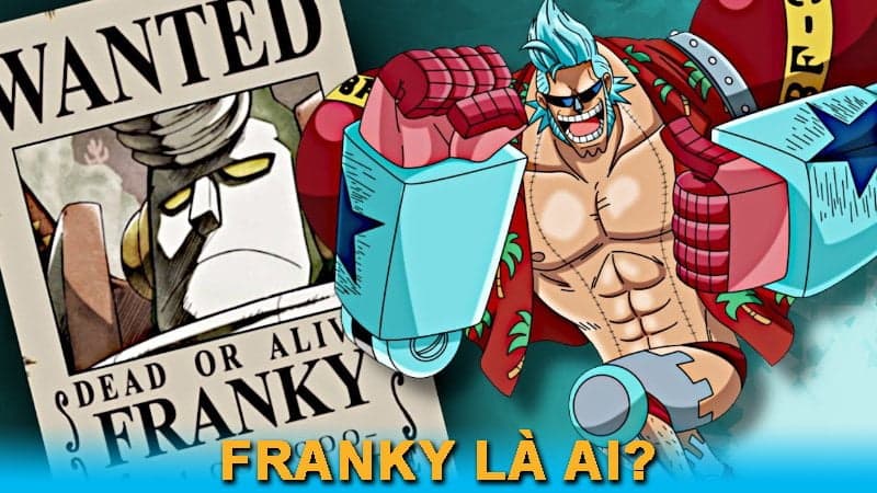 Franky là ai? Sinh ngày mấy? Top phim hoạt hình về Franky mới nhất