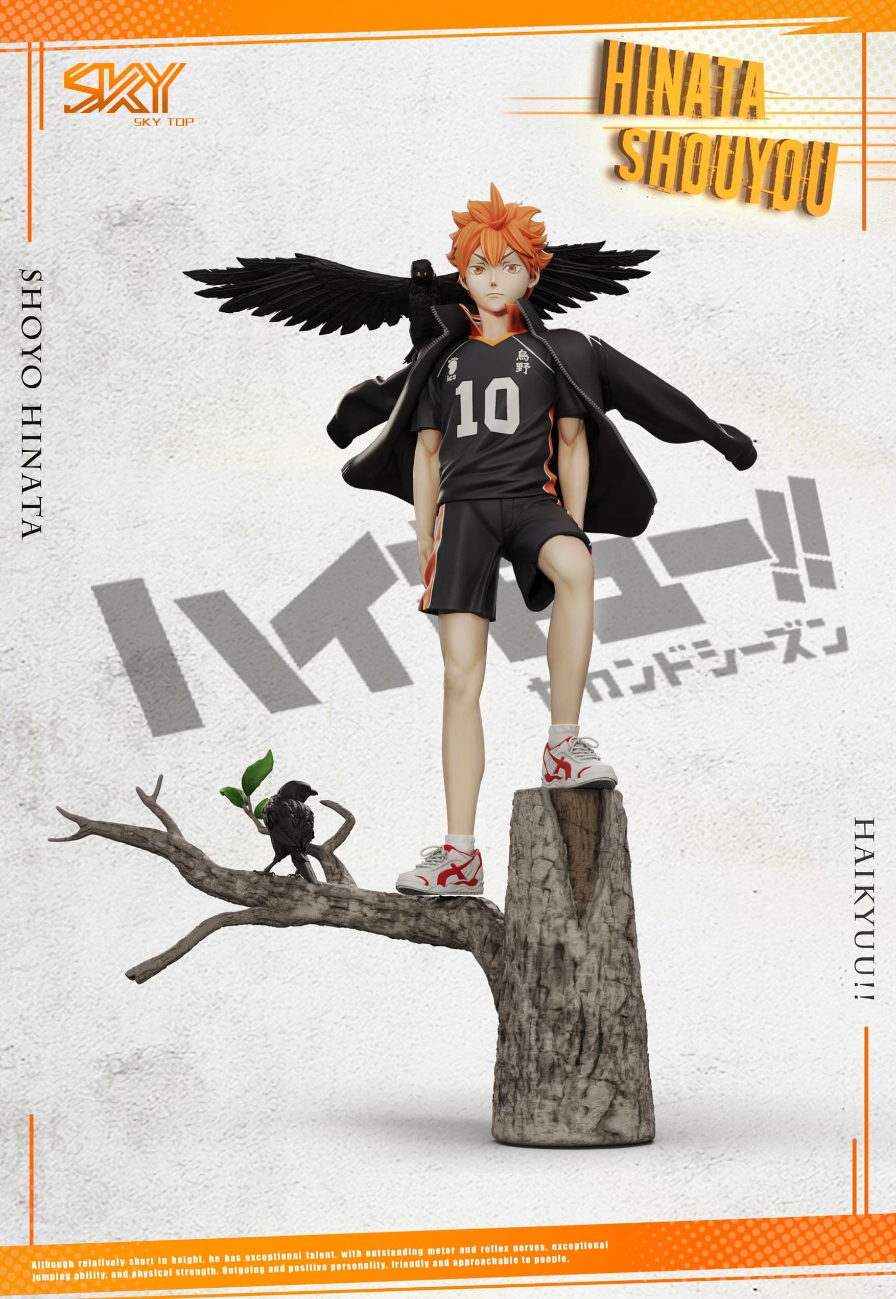 Haikyuu Sky Top Studio Shoyo Hinata