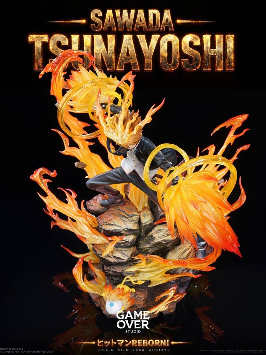 Katekyo Hitman Reborn Game Over Studio Sawada Tsunayoshi