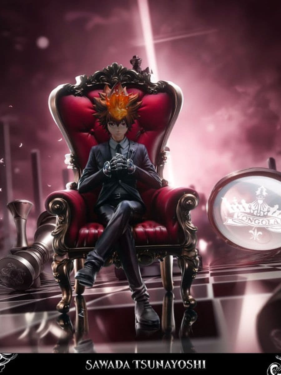 Katekyo Hitman Reborn Peak Studio Sawada Tsunayoshi