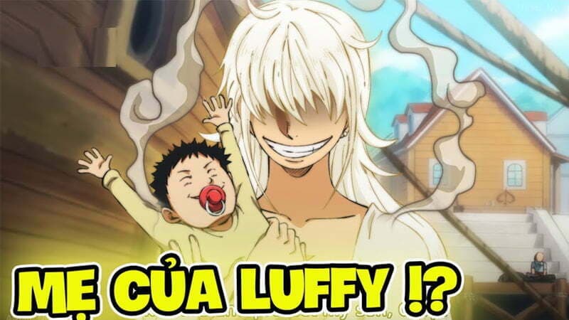 Mẹ của Monkey D. Luffy là ai? Tổng hợp các thành viên trong gia đình