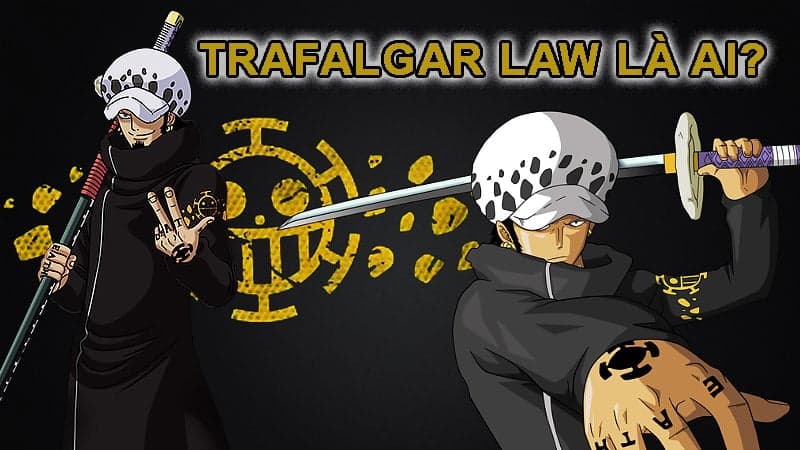 Trafalgar Law là ai? Sinh ngày mấy? Trafalgar Law gặp Luffy khi nào?